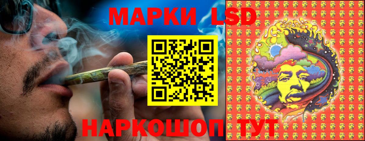 дарнет шоп  Наркотические марки 1,8мг  Вход с VPN  Наркотические марки 1,8мг  Кызыл 