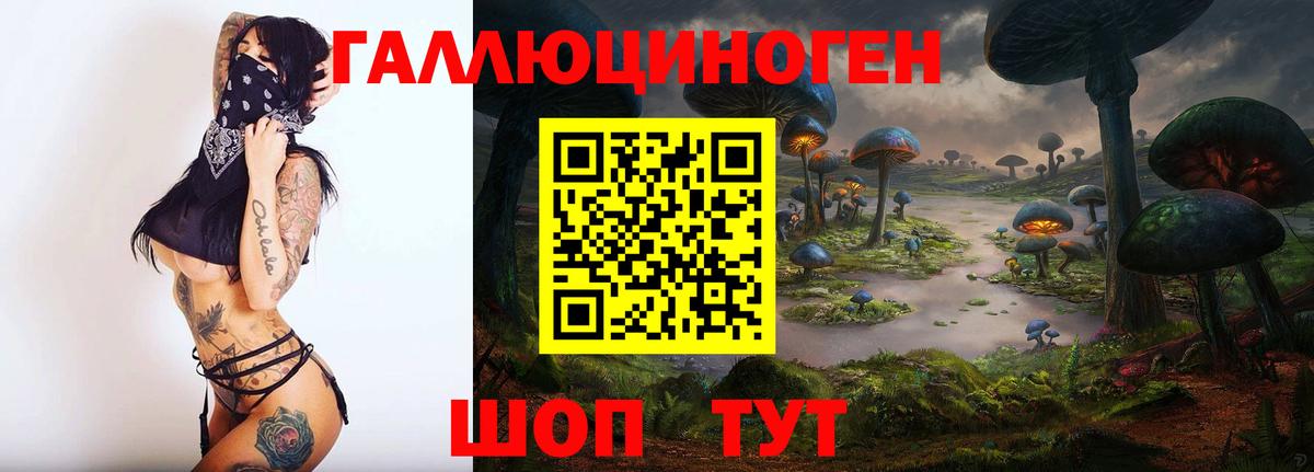 Кызыл  Псилоцибиновые грибы мицелий  Вход с VPN 